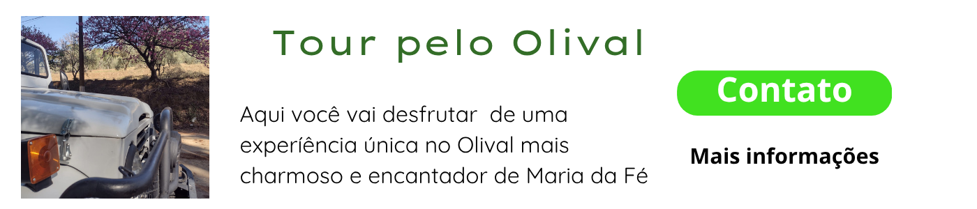OLIVAL (1).png