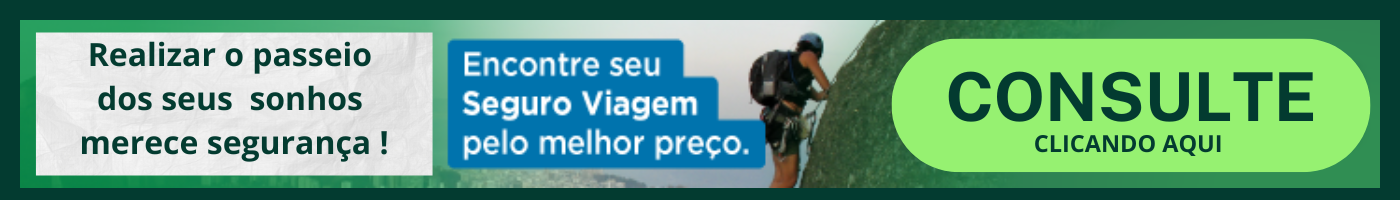 seguro viagem.png