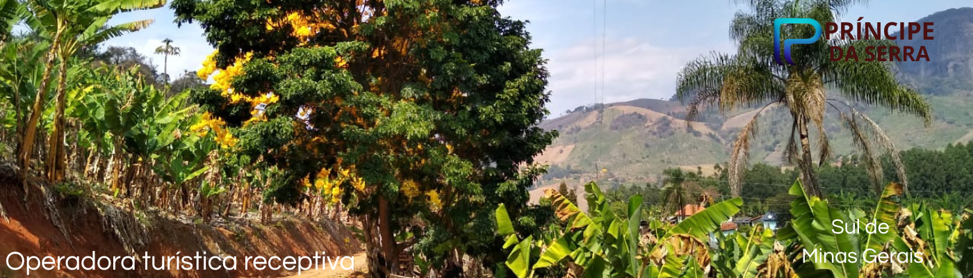 Operadora turística receptiva (6).png